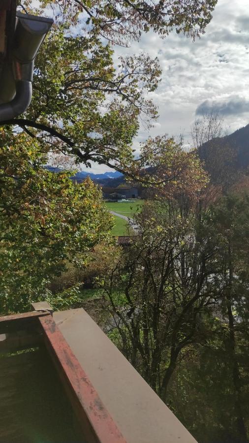 Weißer Hirsch 3*