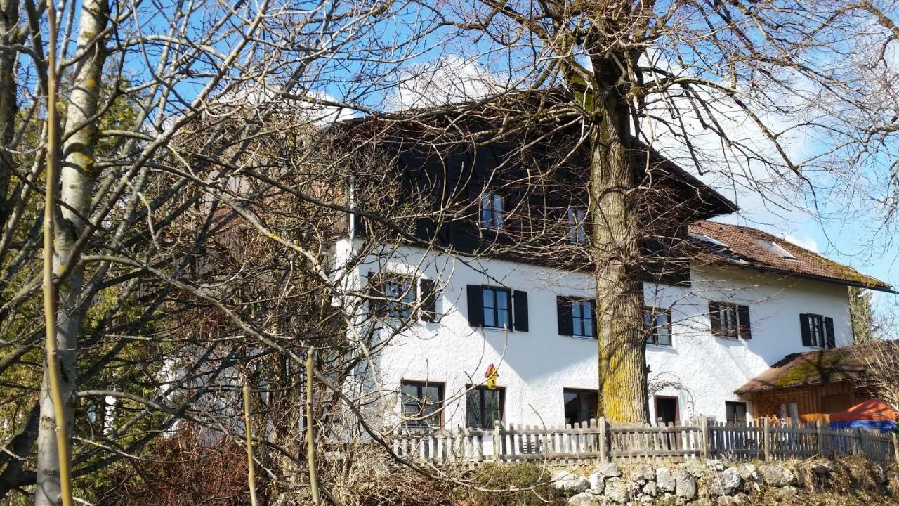 Weißer Hirsch Füssen